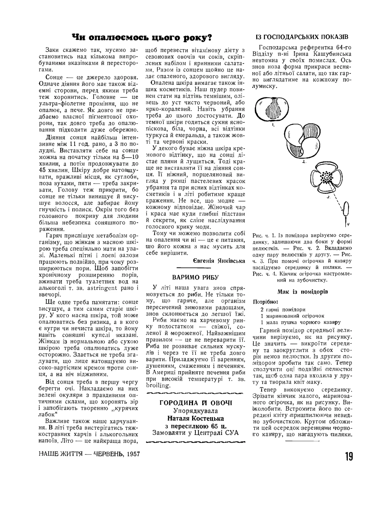 Сторінка 19