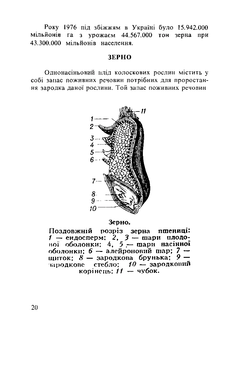 Сторінка 21
