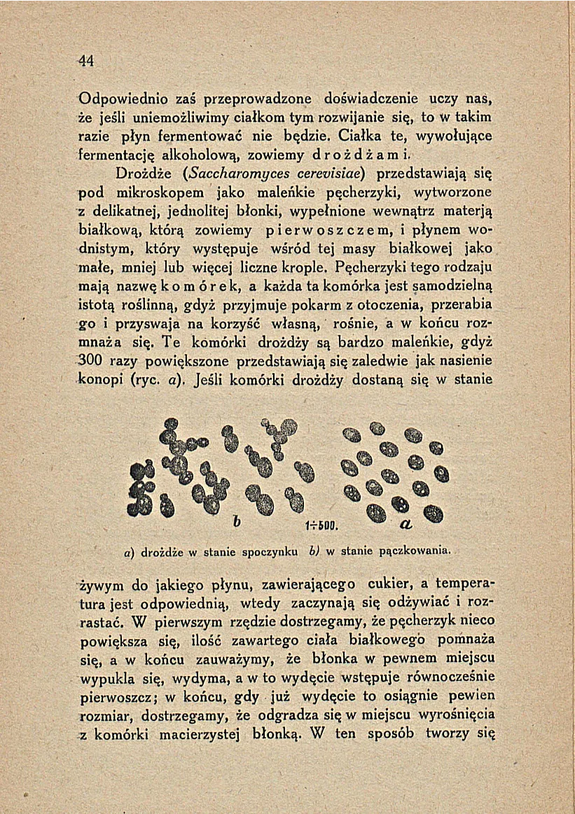 Сторінка 50
