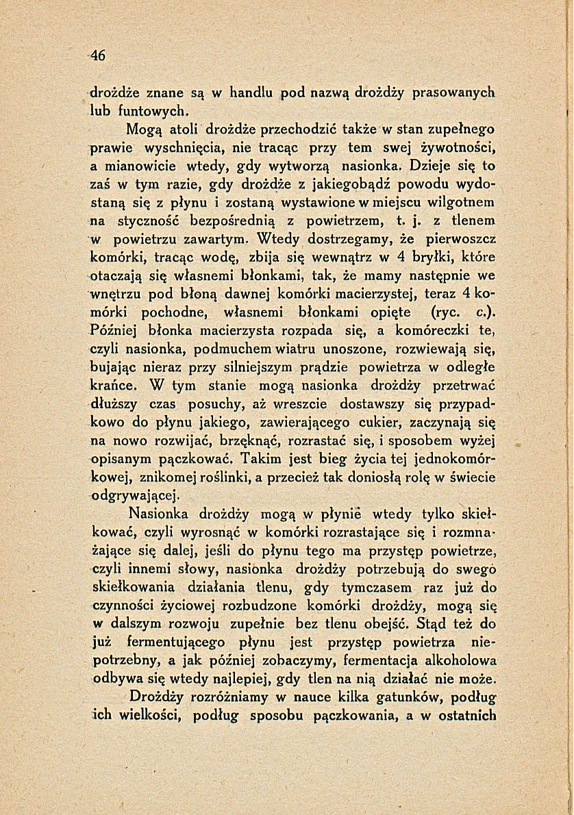 Сторінка 52