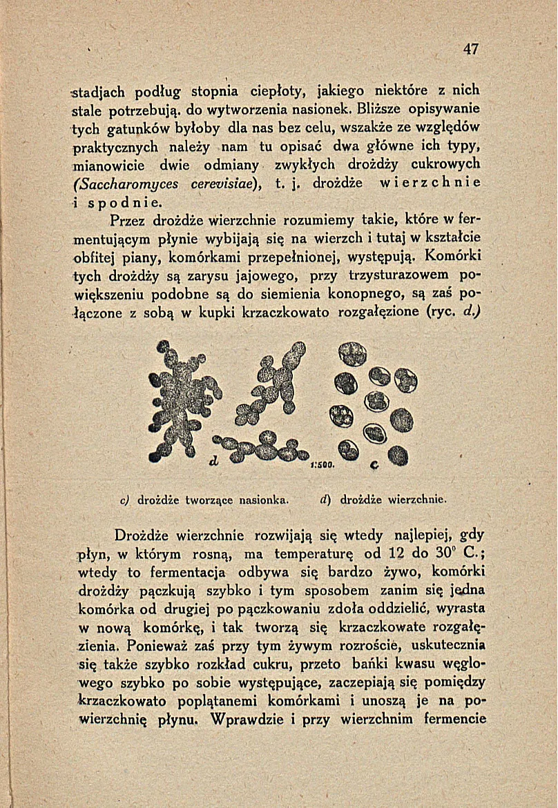 Сторінка 53