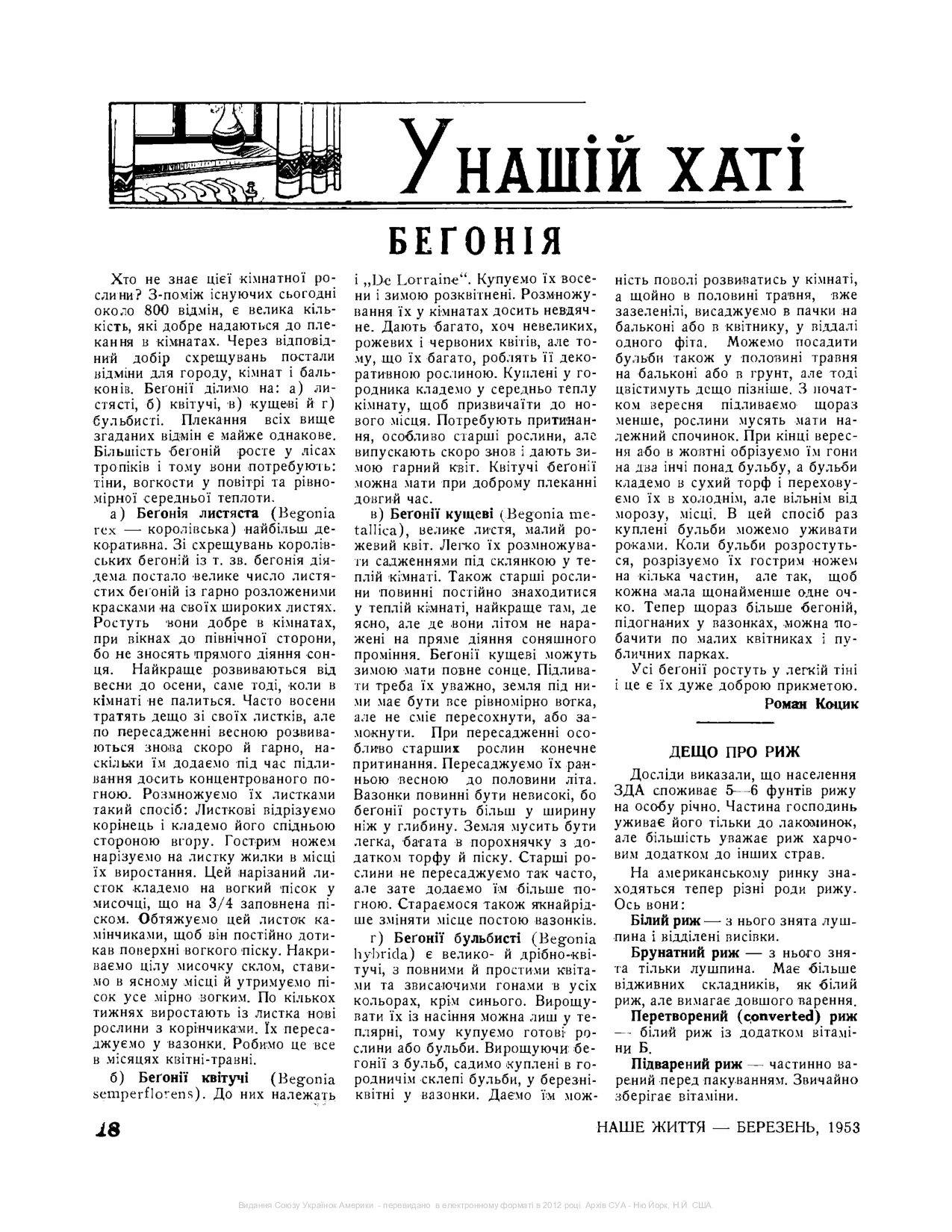Сторінка 8