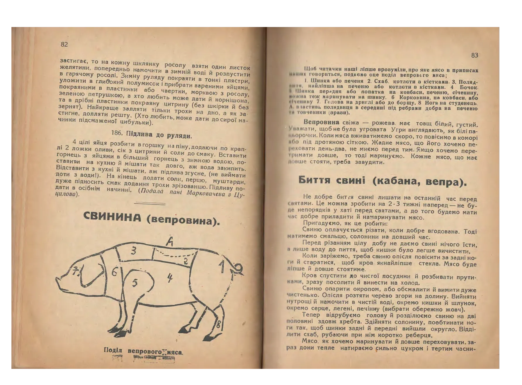 Сторінка 42