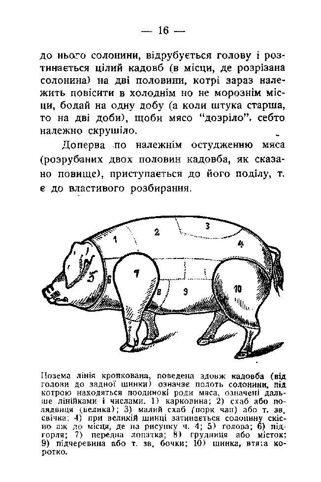 Сторінка 17
