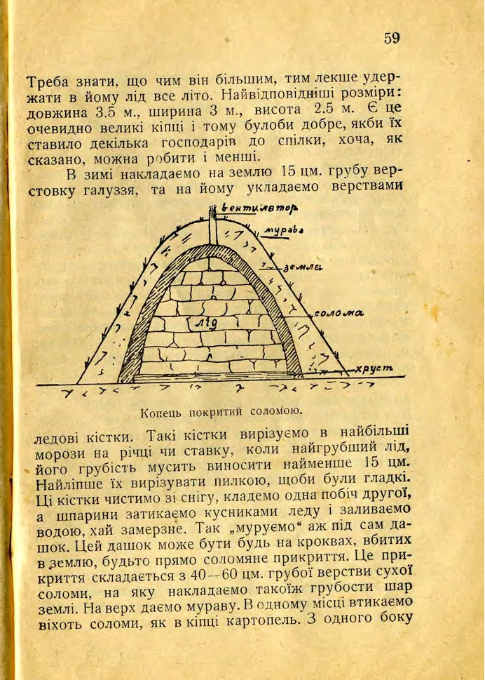 Сторінка 61