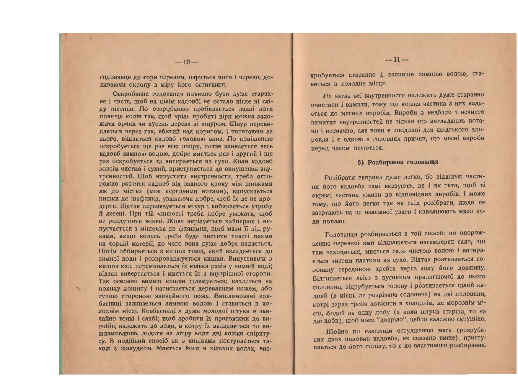 Сторінка 11