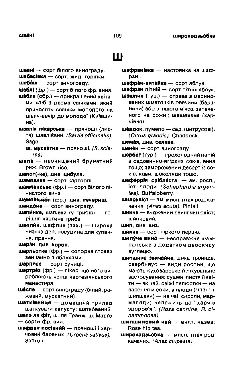 Сторінка 110