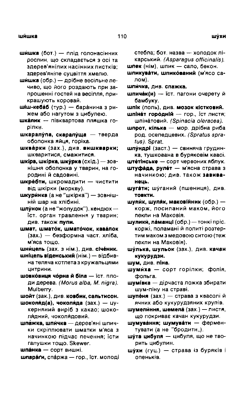 Сторінка 111