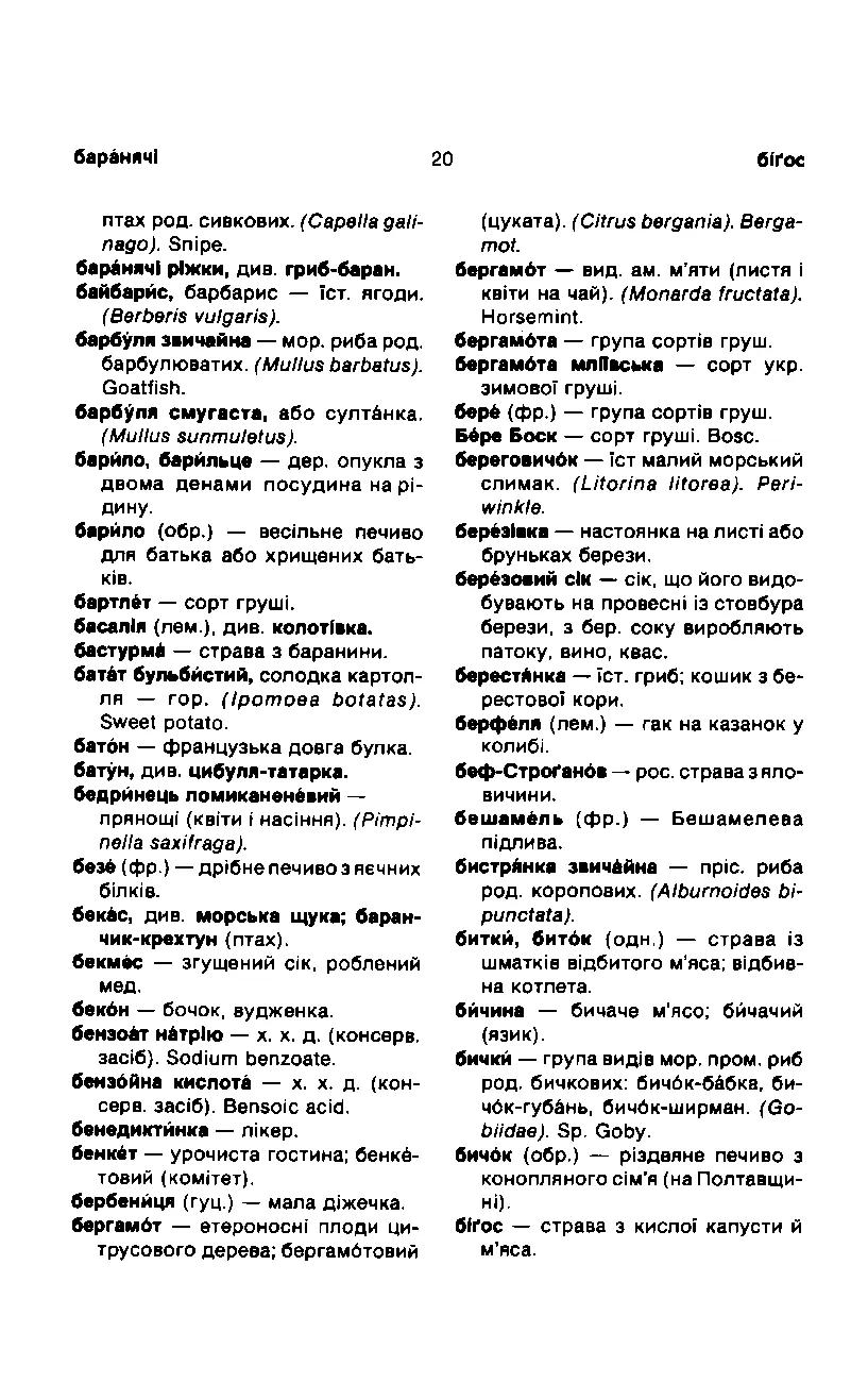 Сторінка 21