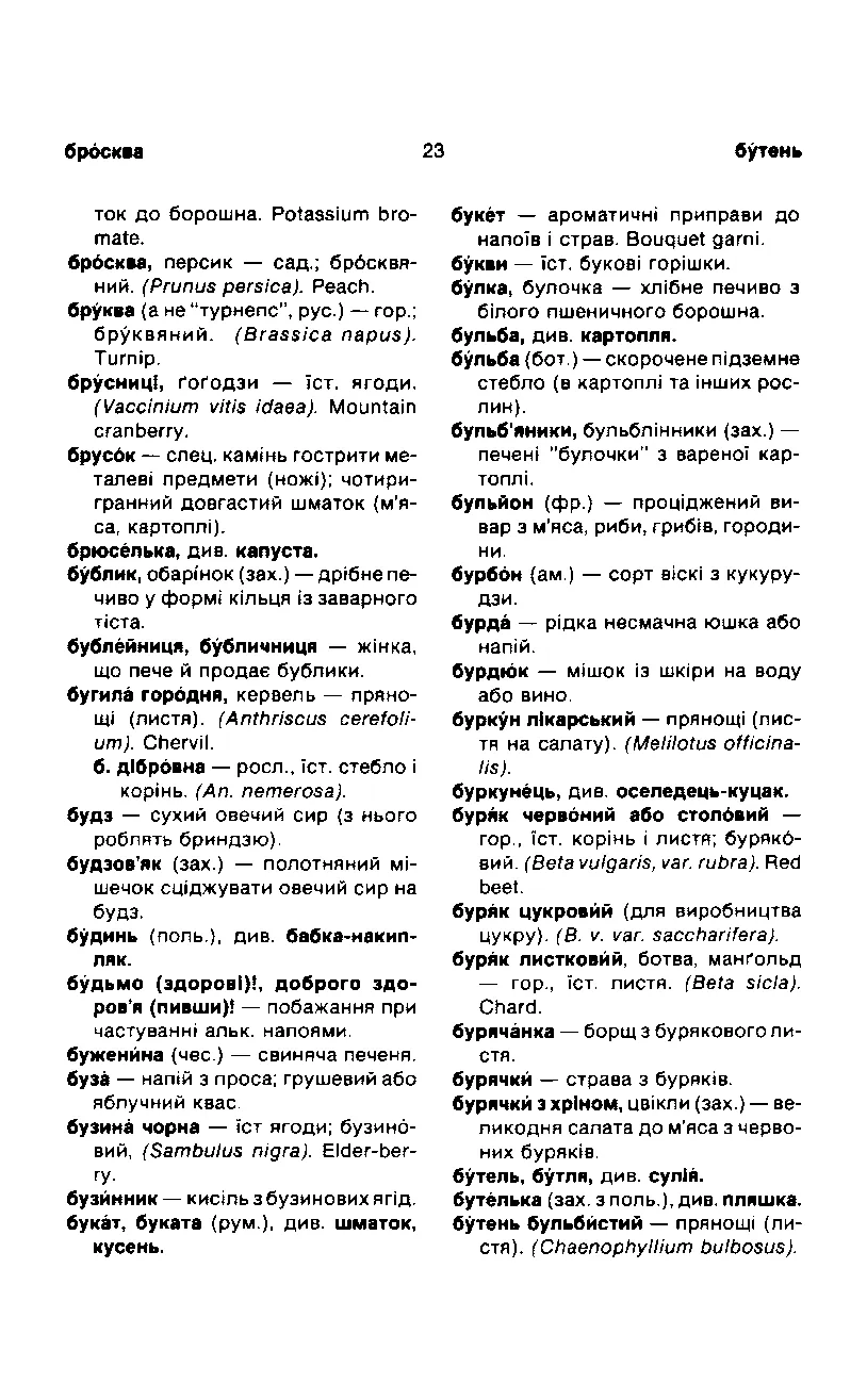Сторінка 24