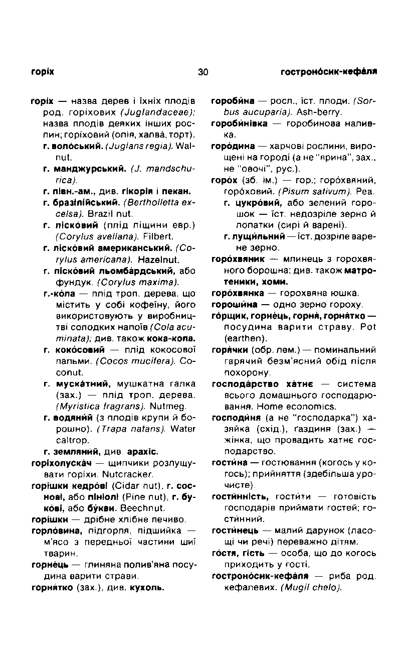 Сторінка 31