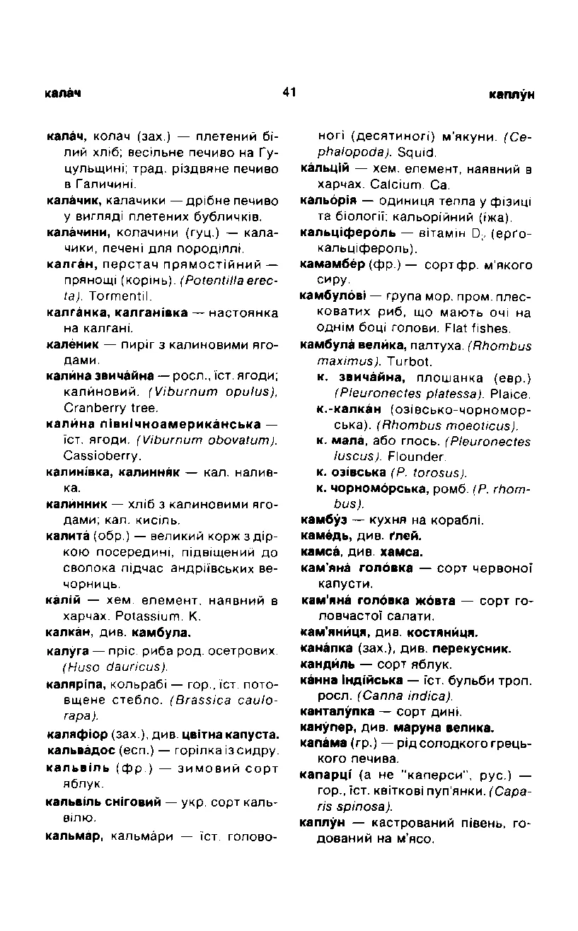 Сторінка 42