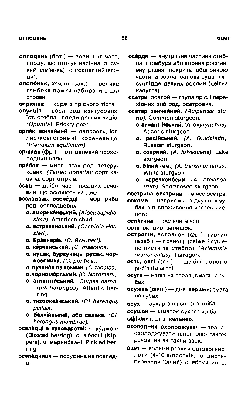 Сторінка 67