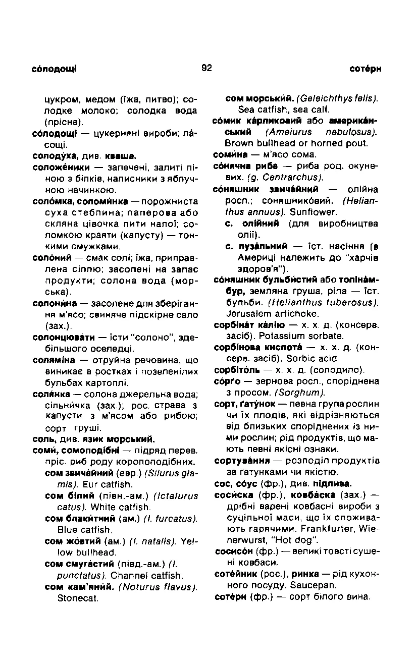 Сторінка 93