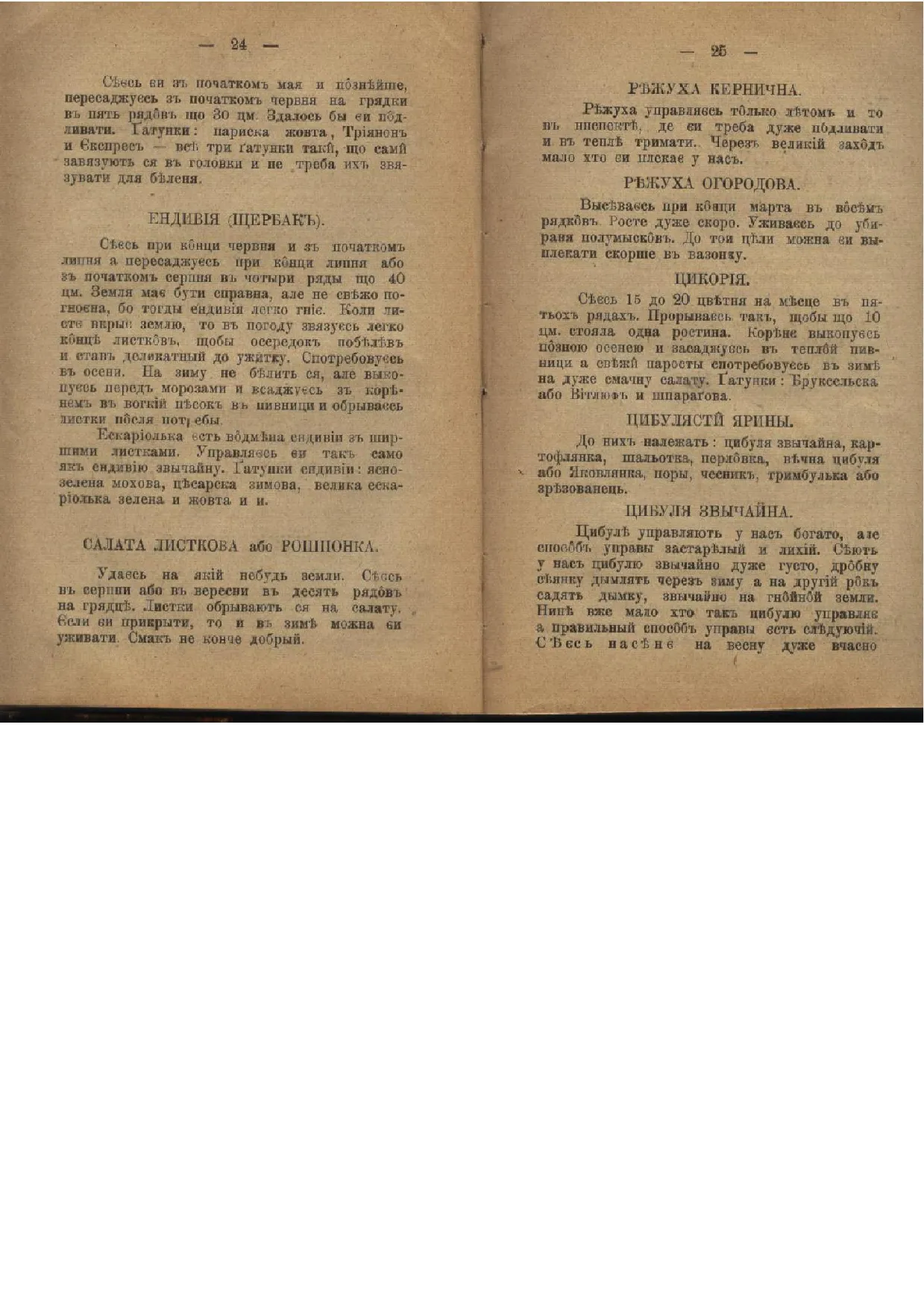 Сторінка 13