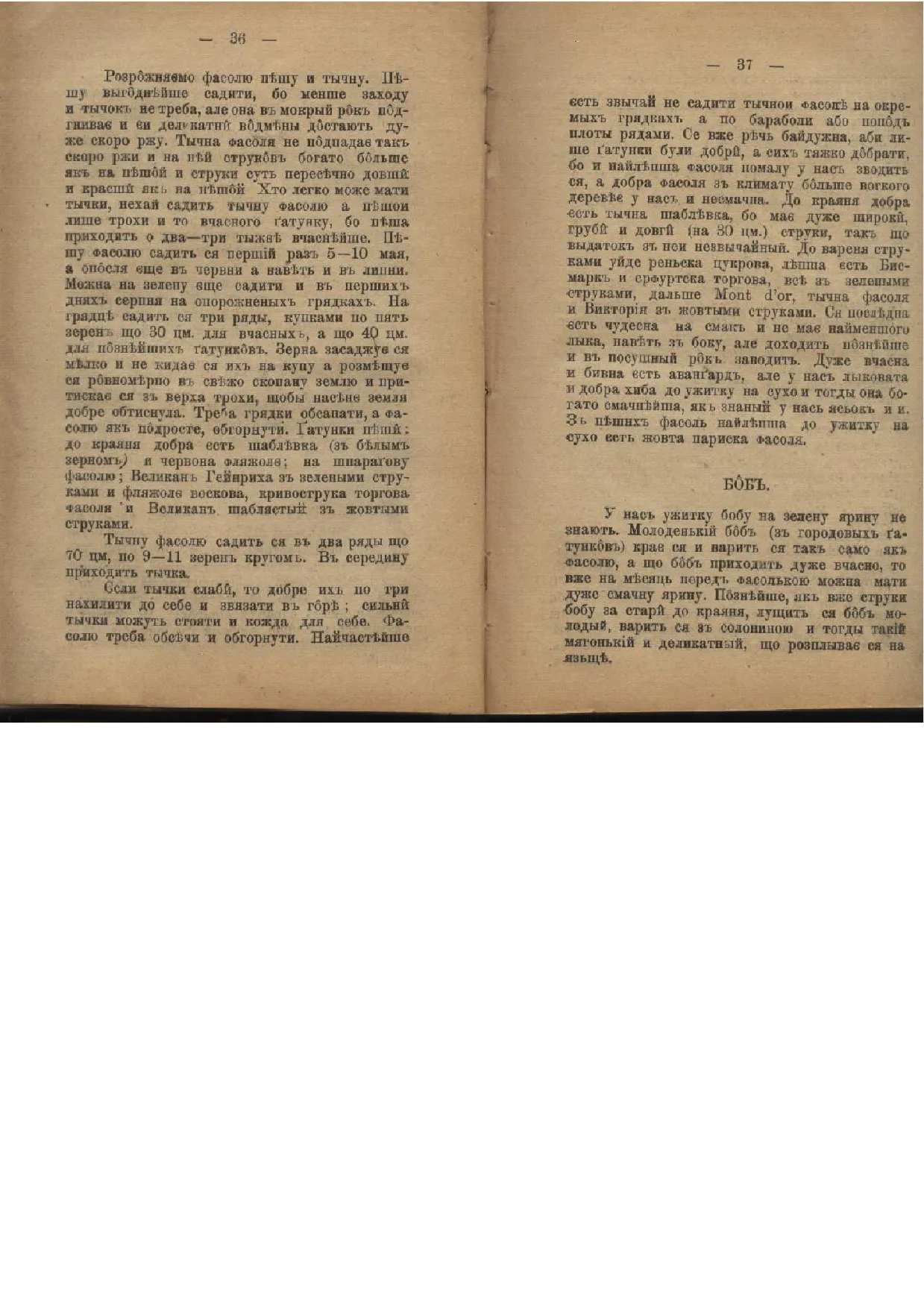 Сторінка 19