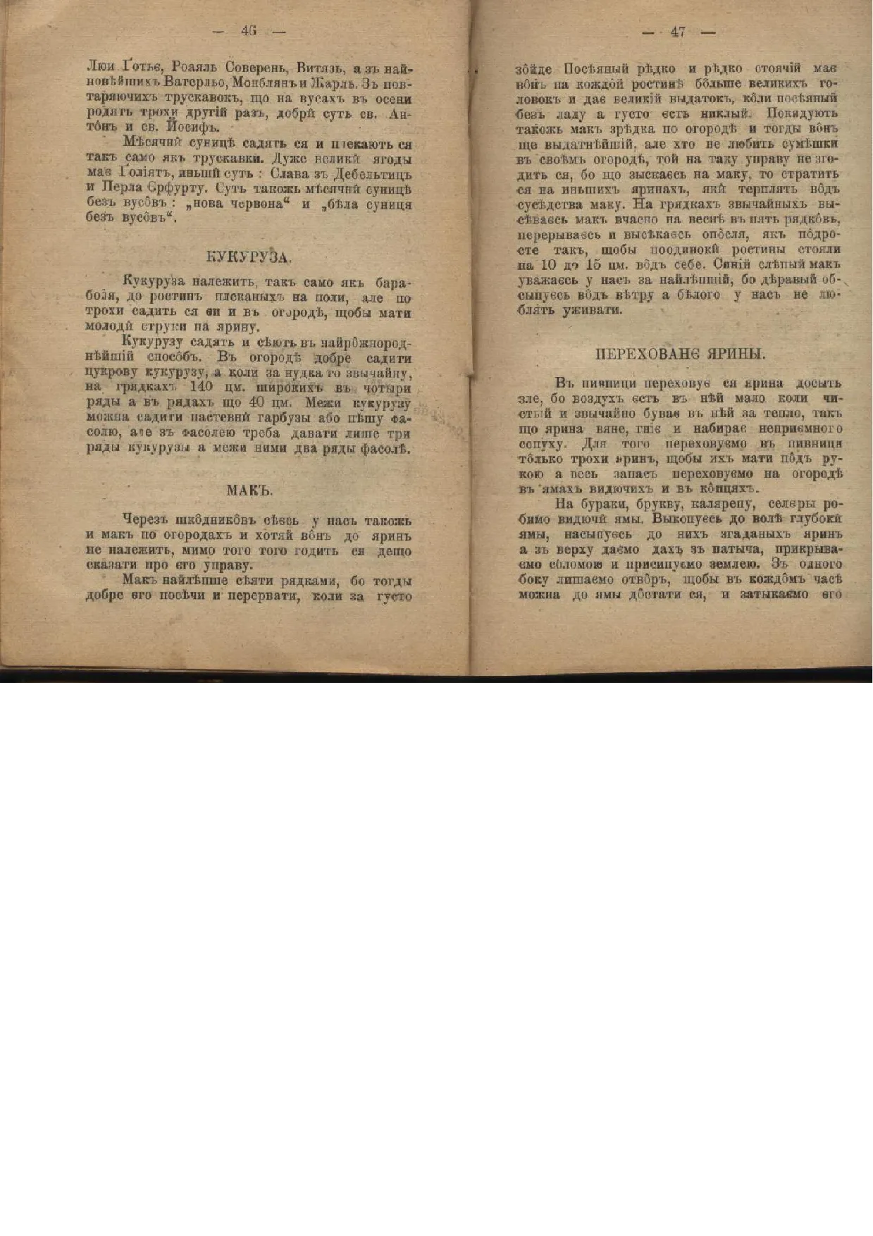Сторінка 24