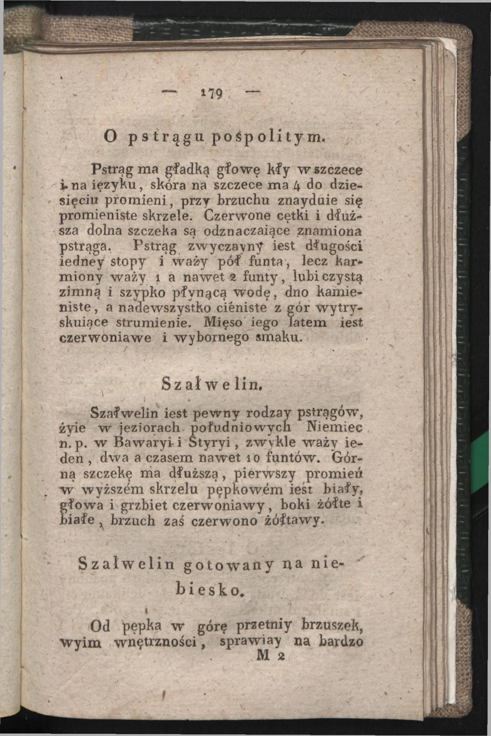 Сторінка 173