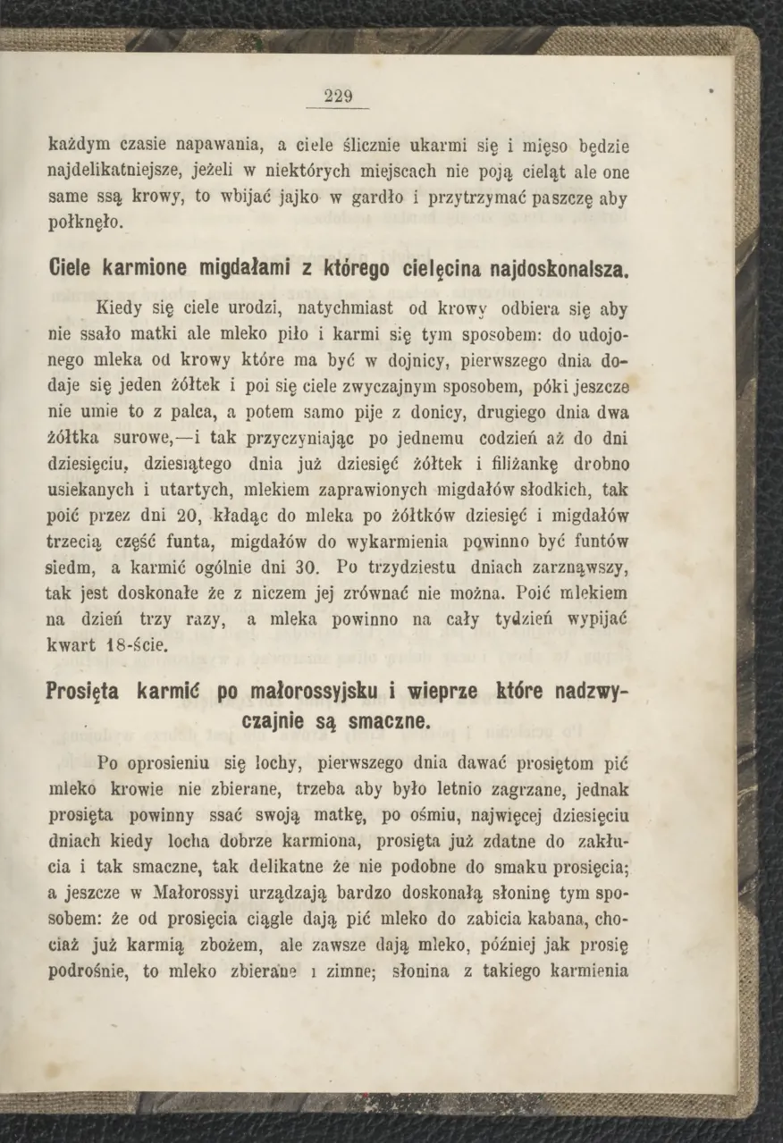 Сторінка 235