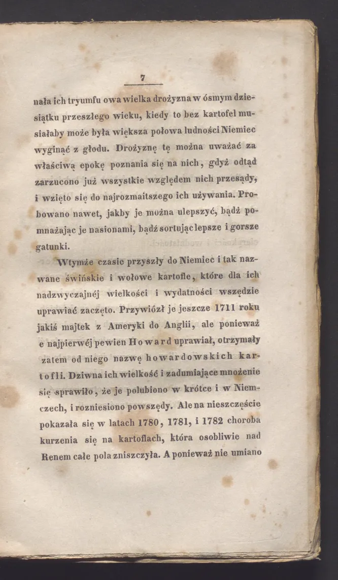 Сторінка 13