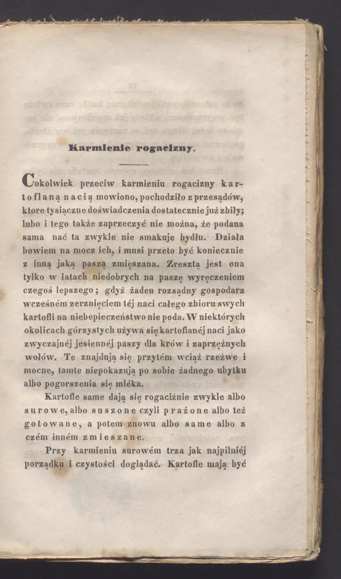 Сторінка 17
