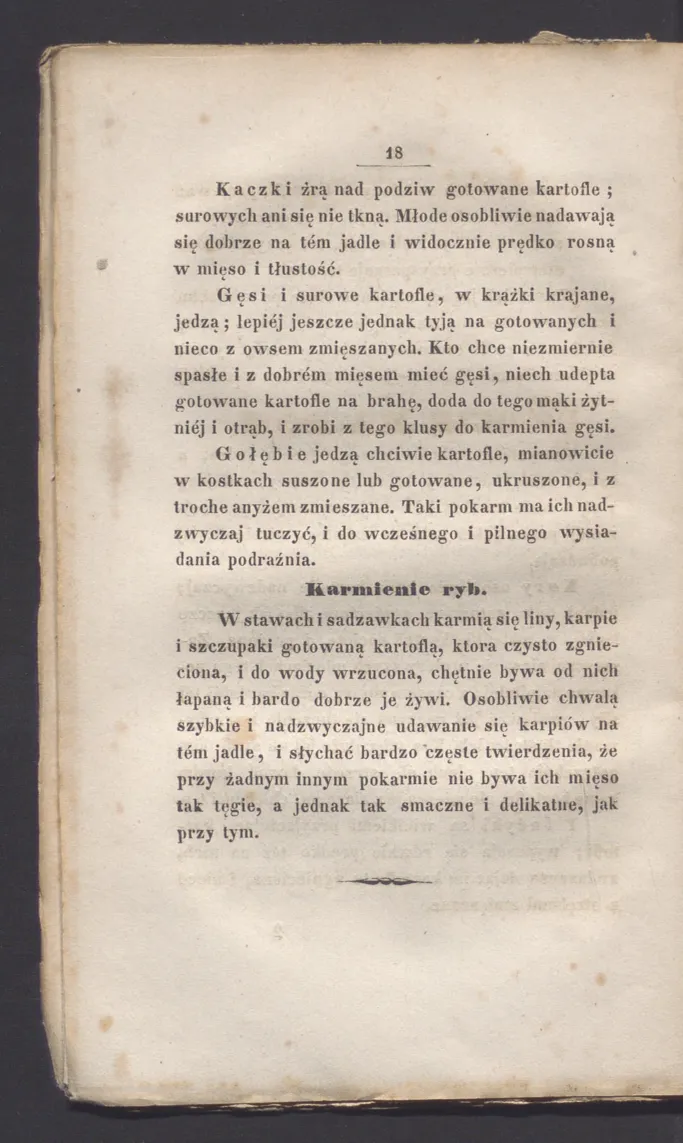 Сторінка 24