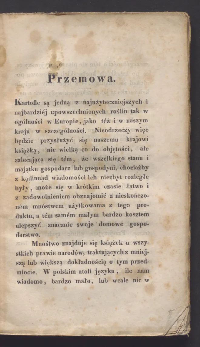 Сторінка 5